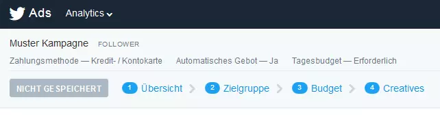 Screenshot der vier Gebiete, über die man beim Erstellen einer Twitter-Kampagne Angaben machen muss