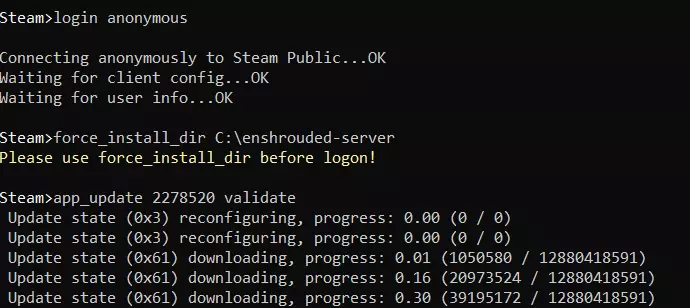 Enshrouded-Server: Installation via SteamCMD