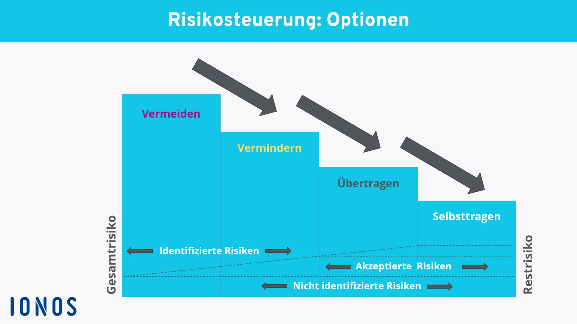 optionen-der-risikosteuerung.png