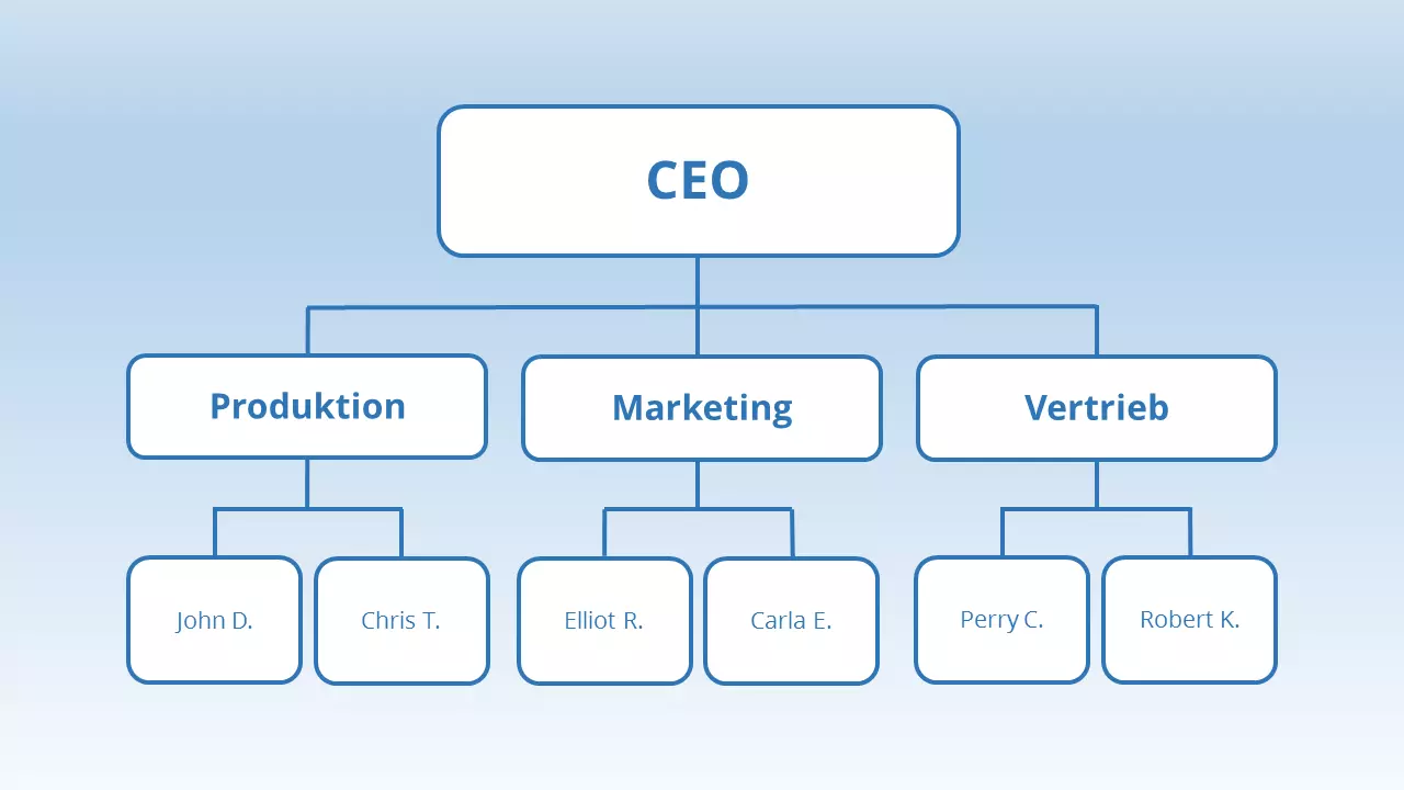 DE-funktionale-organisationsstruktur.png